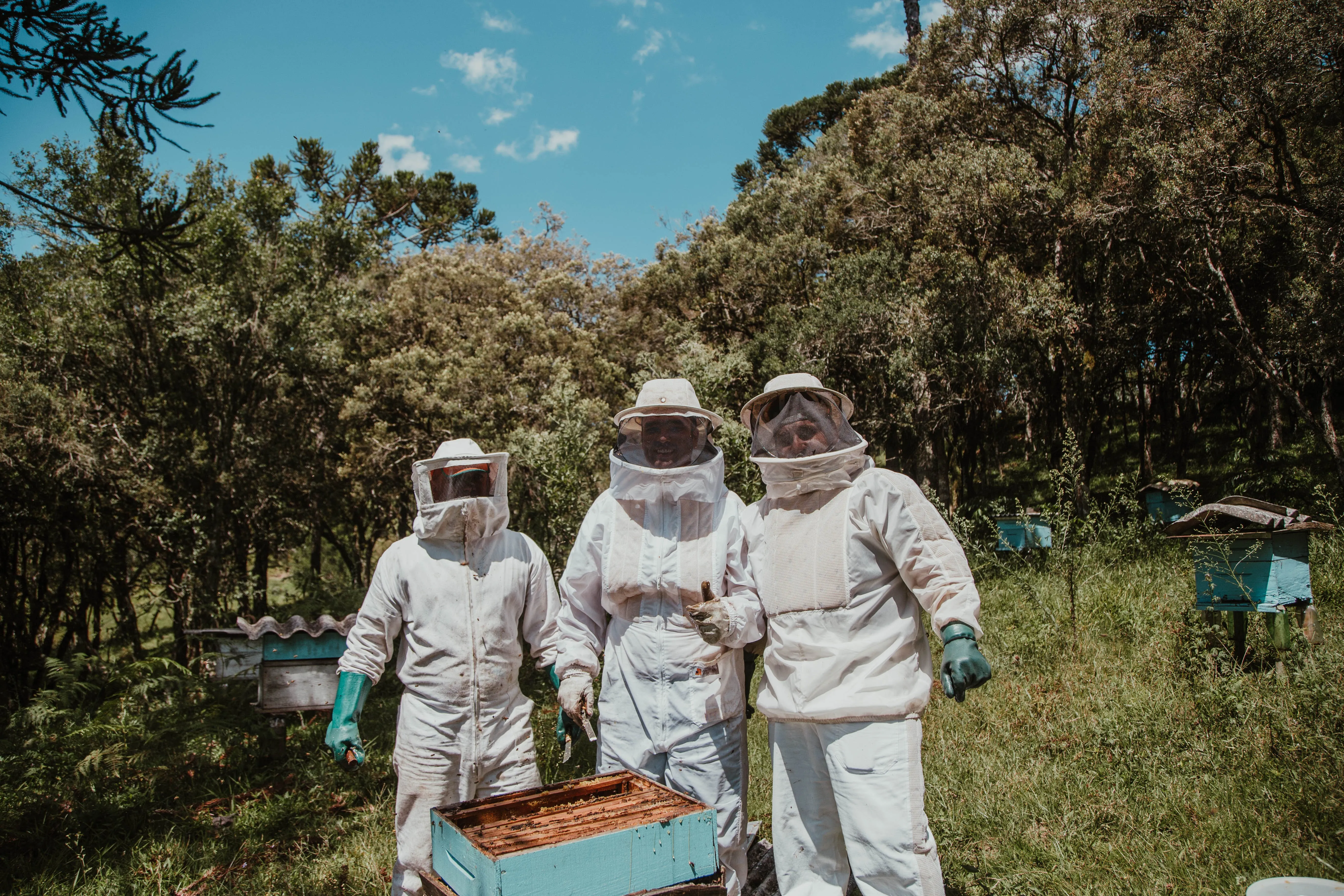 Exploring the Fascinating World of Beekeeping