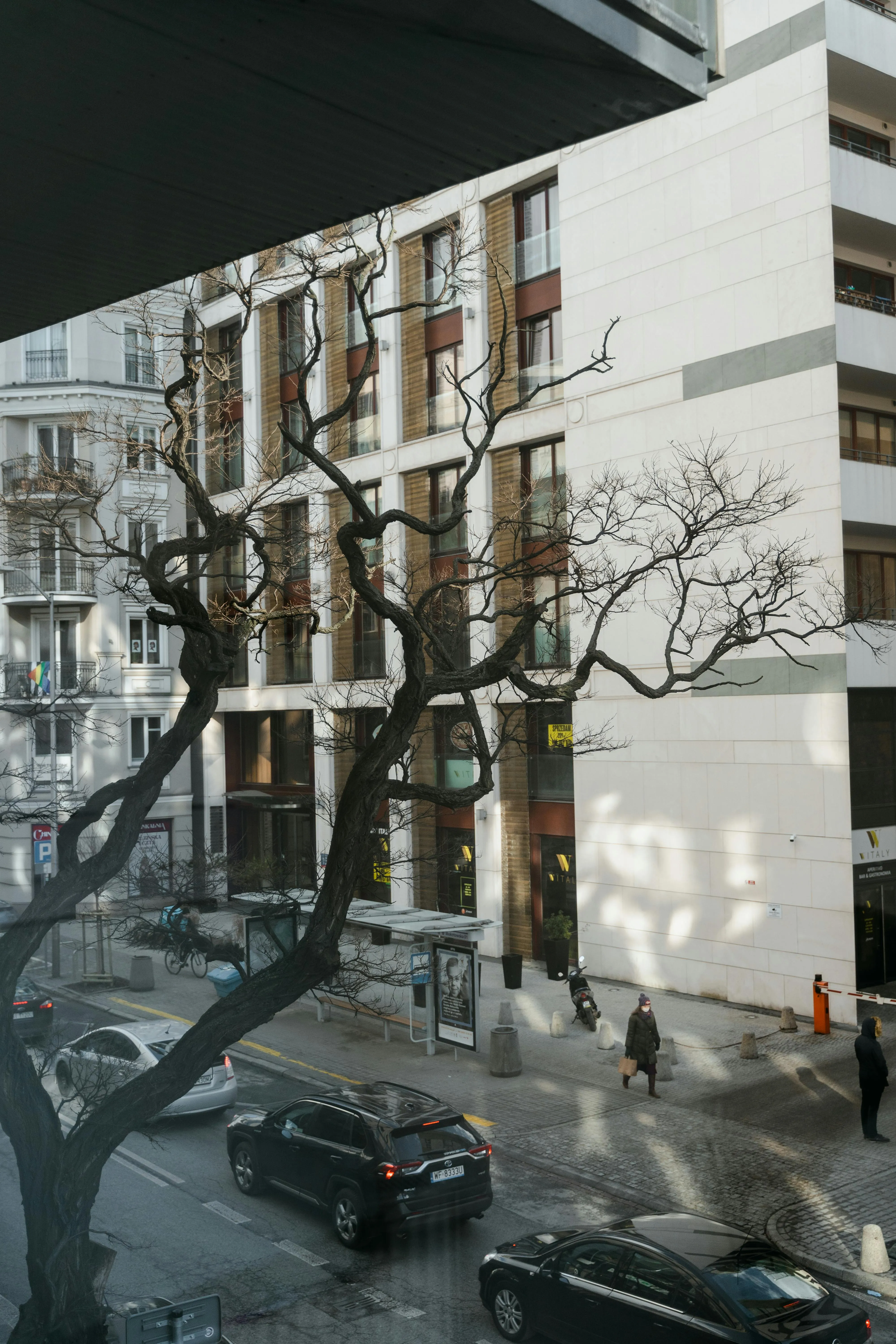 car-financing-48.webp can i finance sales tax on a car