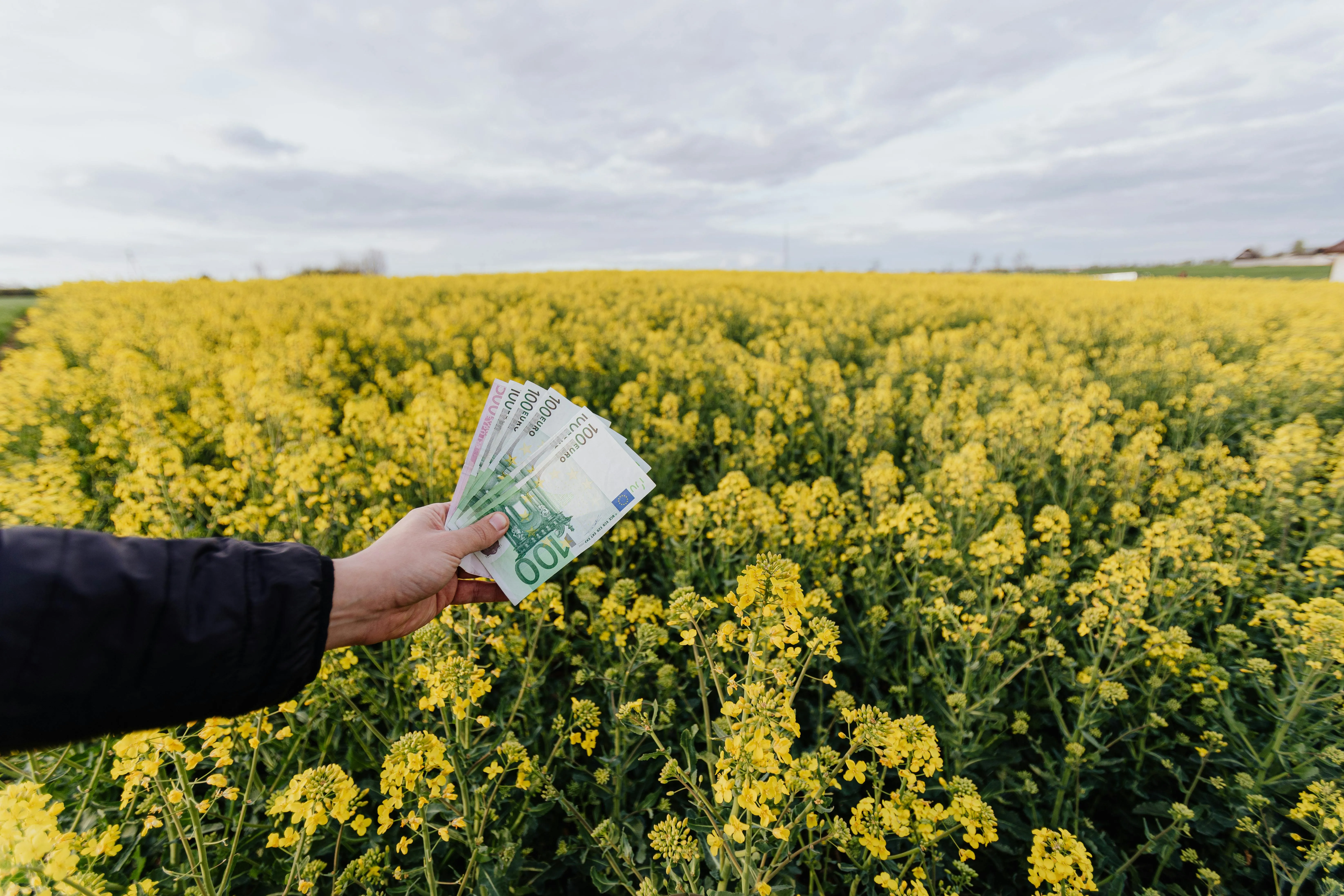 does payroll belong in hr or finance