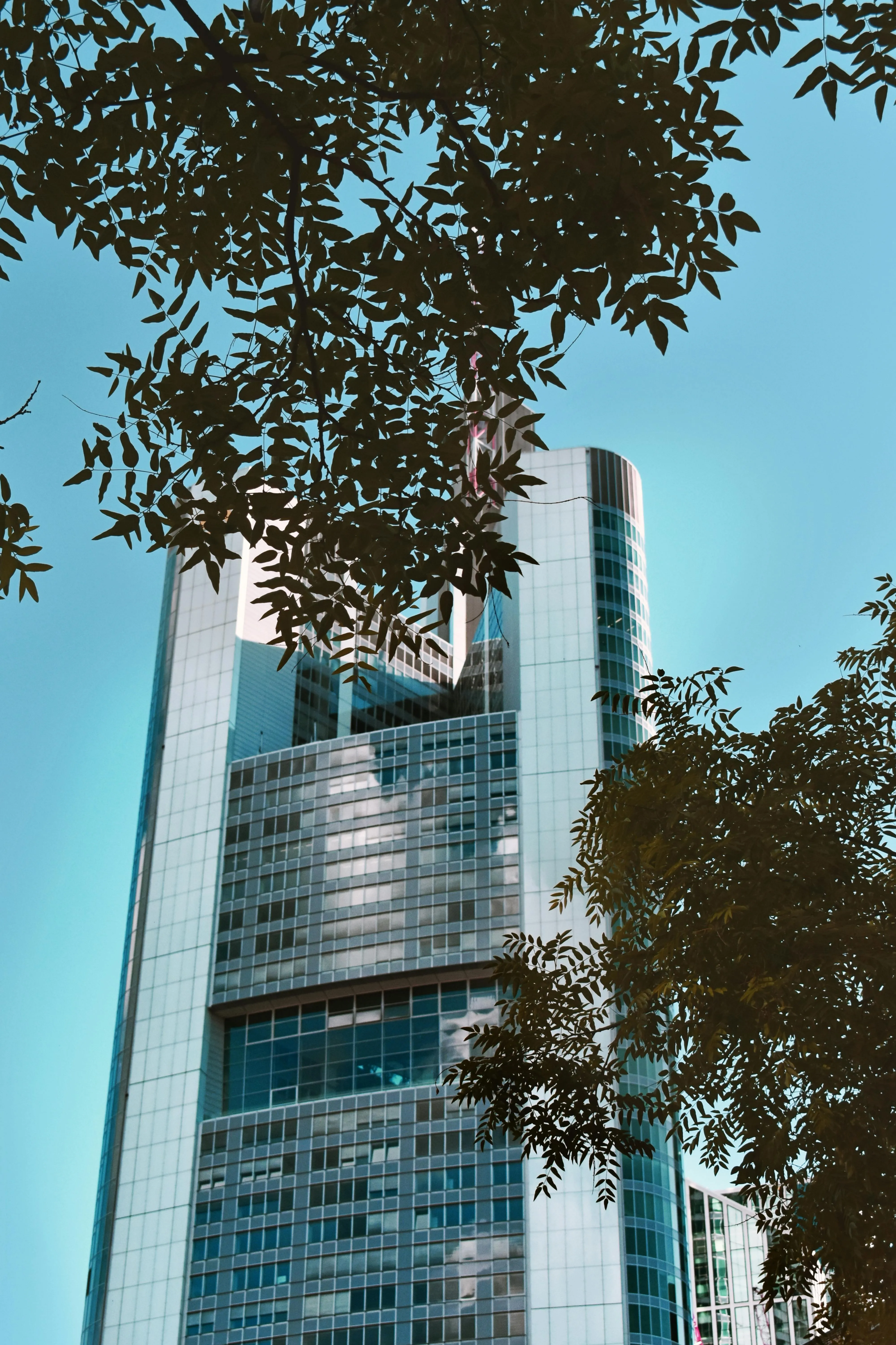 what does fx stand for in finance