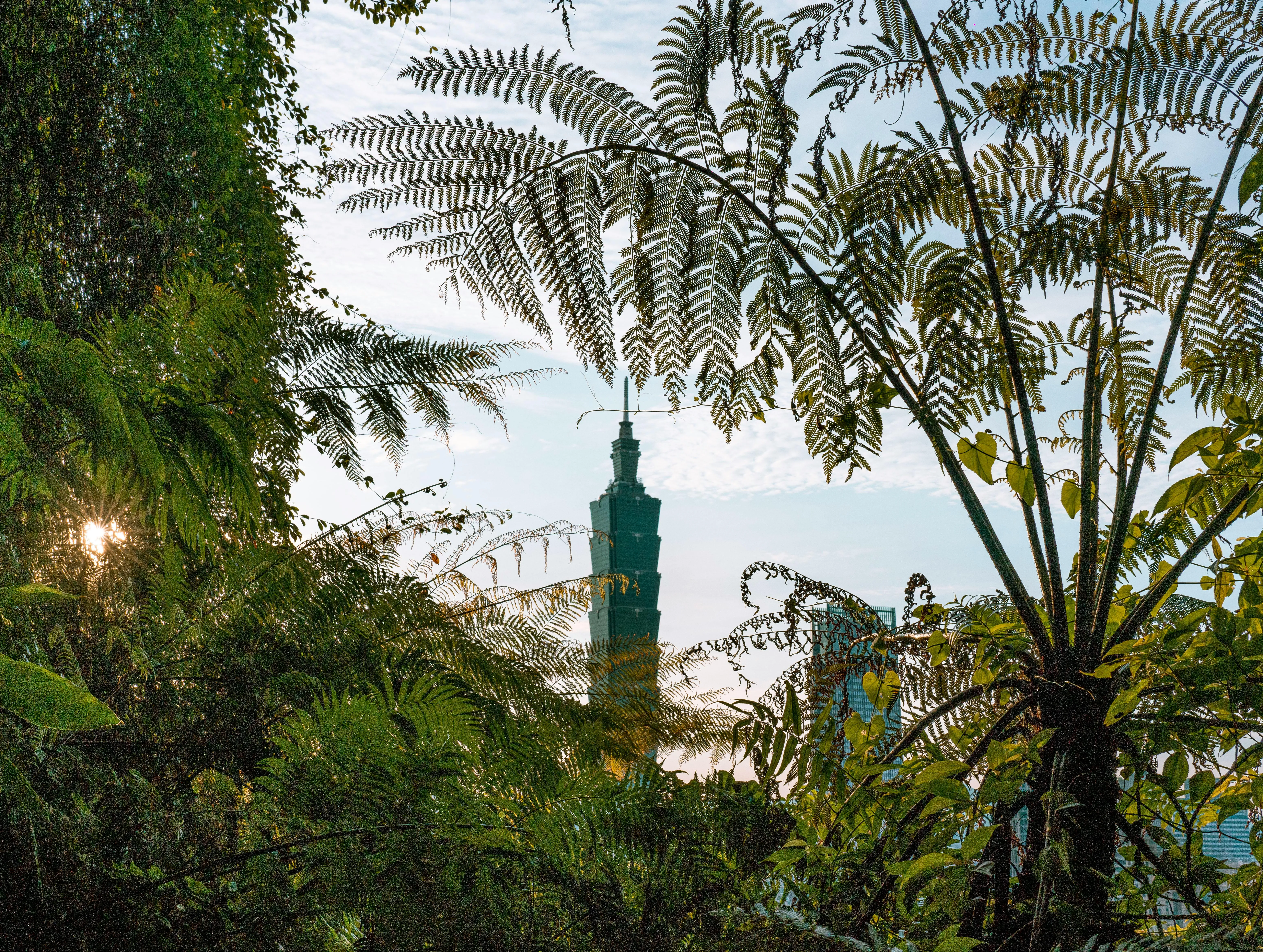 vw.webp does vw ever do 0 financing