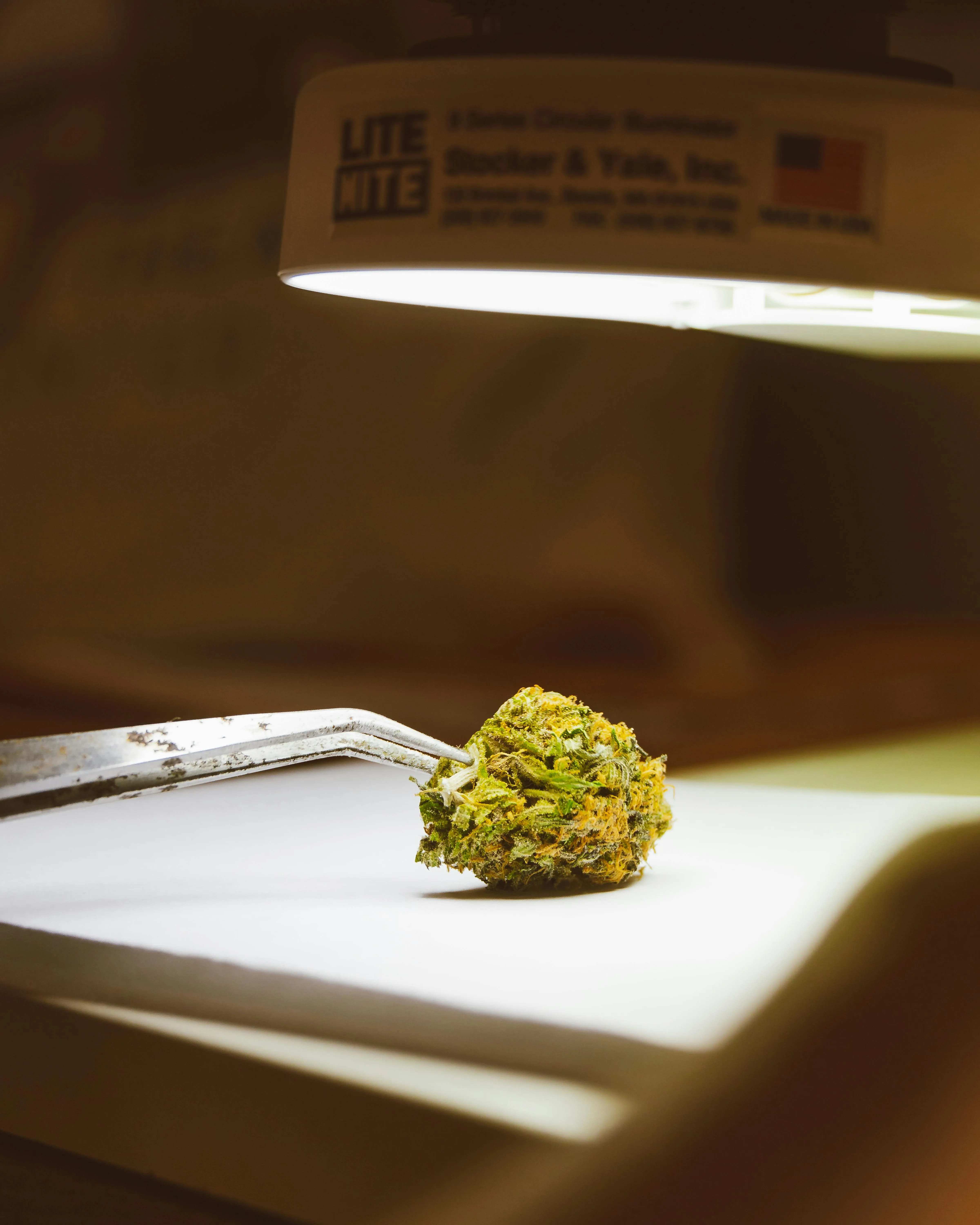 Canadian Marijuana