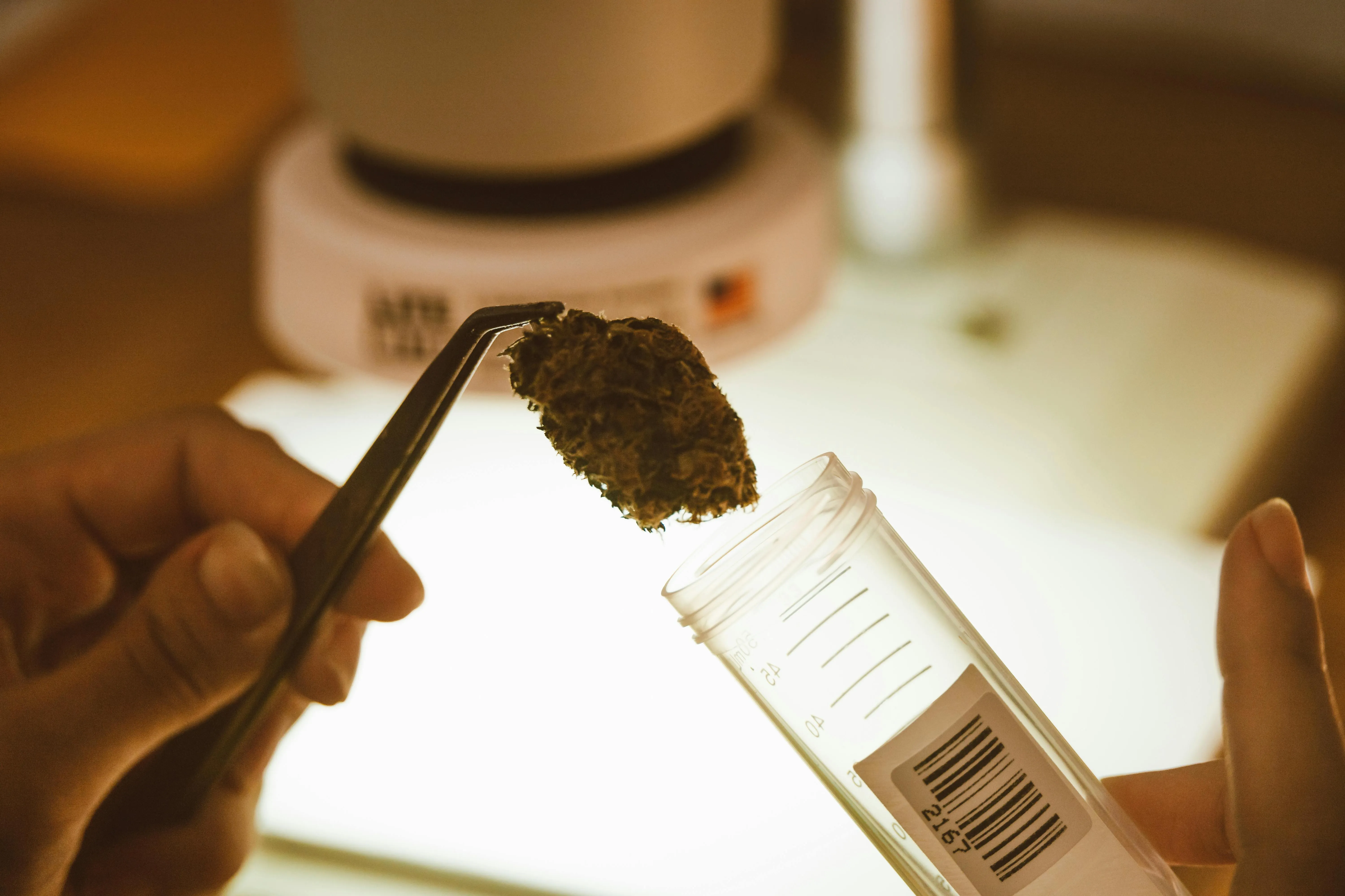 Online Dispensaries Canada