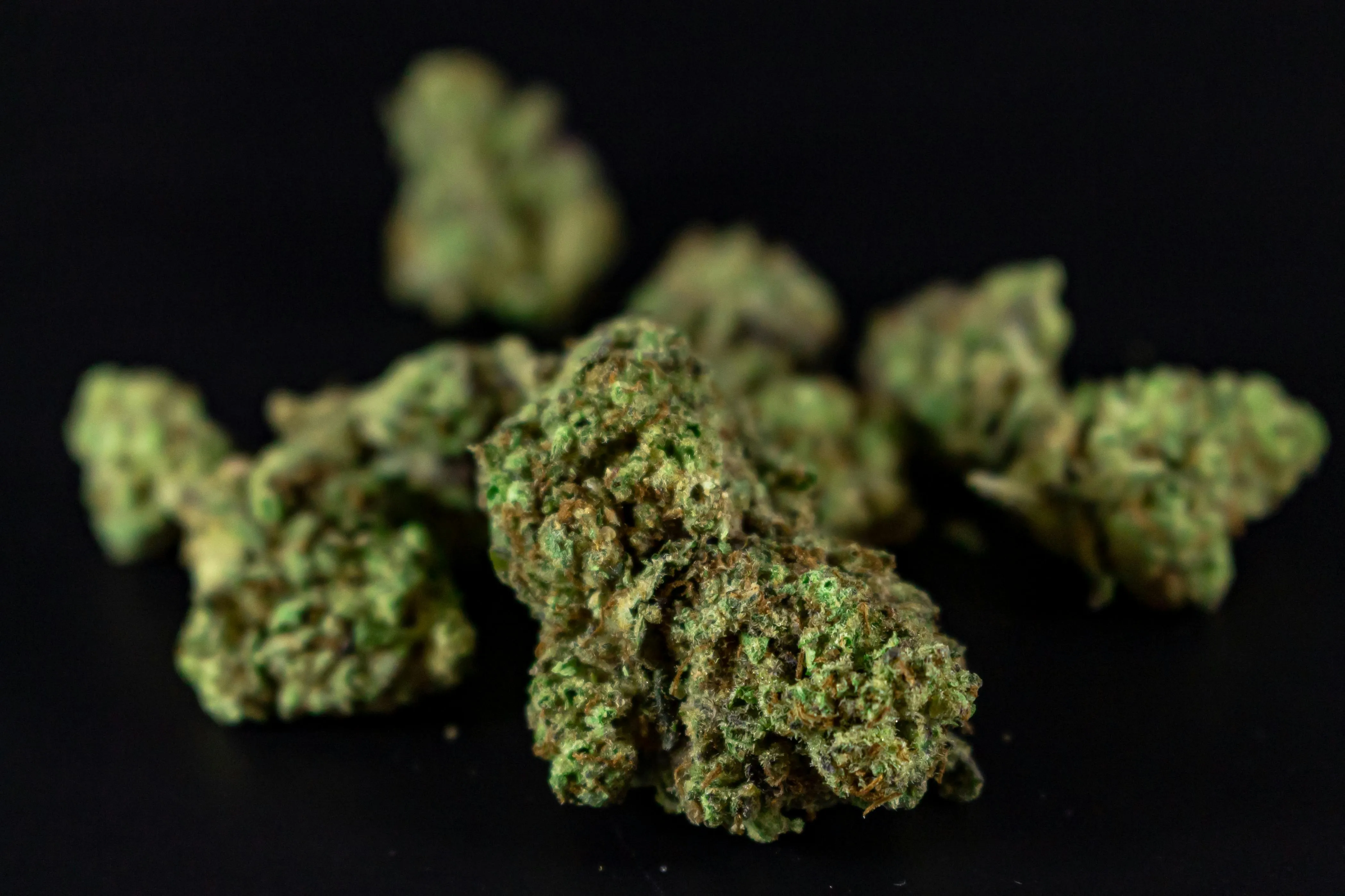 hybrid strain
