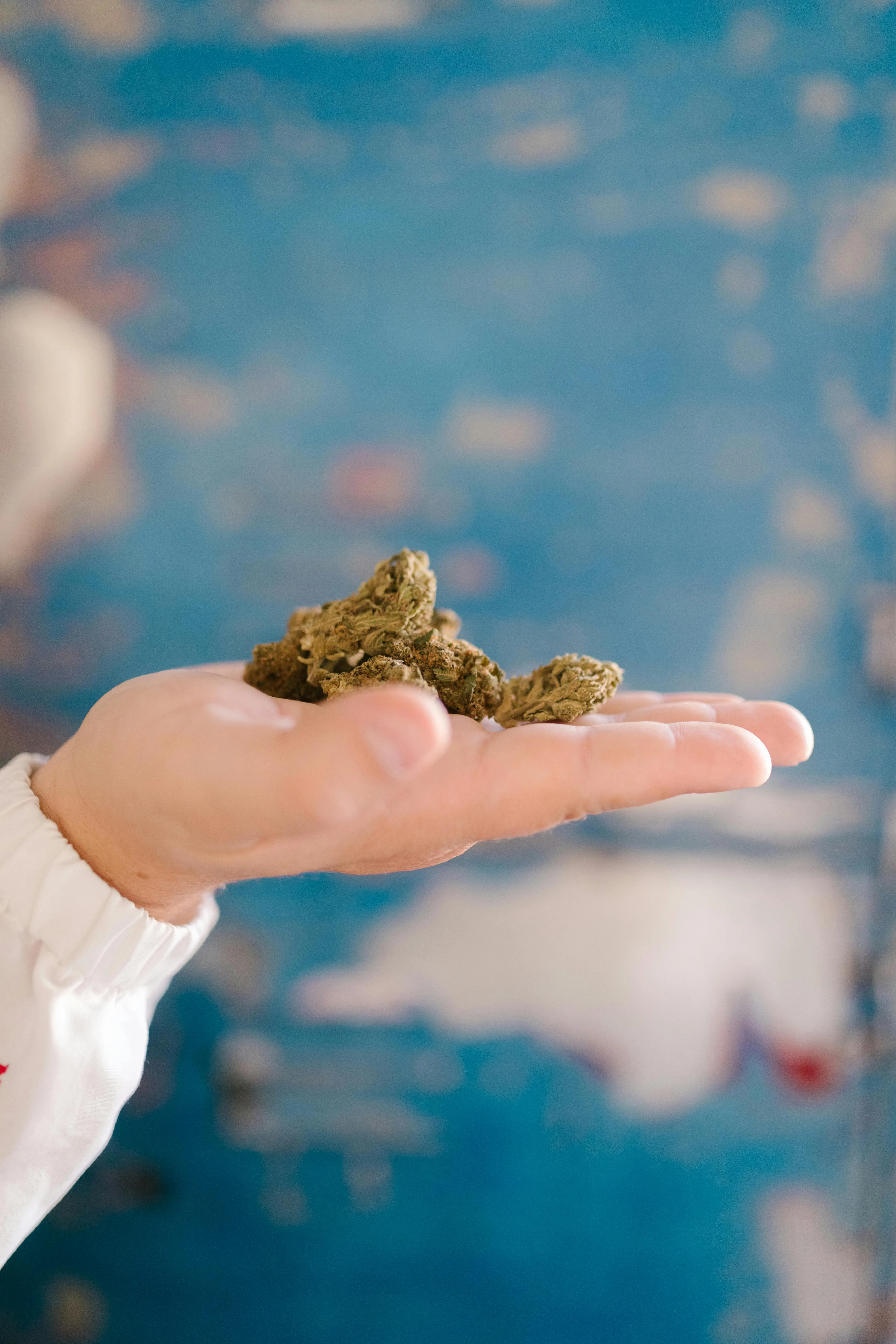Recreational Marijuana